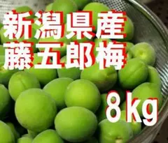 藤五郎梅 ラストセール！新潟県産 10kg 10700円◇梅干し 梅酒用 - メルカリ