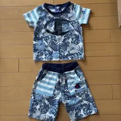 Champion セットアップ