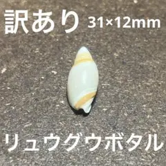 えりきち様 リクエスト 2点 まとめ商品