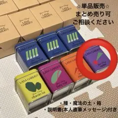 新品未使用】藤井風 初代野菜缶 ミニ人参 単品販売 種/魔法の土/説明書