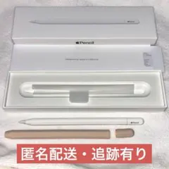 Apple Pencil (USB-C)ホワイト 元箱 カバー 付き