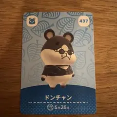 どうぶつの森 ドンチャン amiiboカード 437