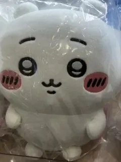 Item thumbnail for item 788824fc-b7f4-48d5-b6b3-c2ee2a85a663