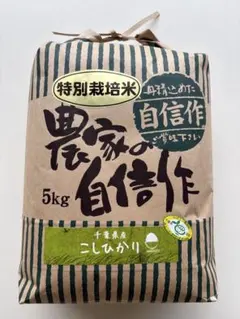 数量限定　大特価セール　千葉県いすみ市産 コシヒカリ　特別栽培米 無洗米　5kgのサムネイル