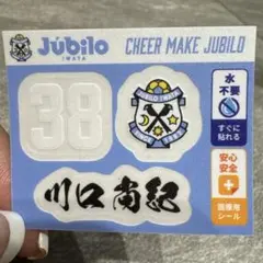 Item thumbnail for item 69570cdb-896b-42e2-b0b0-3af130427feb