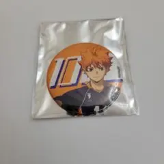 ハイキュー 日向翔陽 TD 缶バッジ 挑戦者たち グリッター LOFT