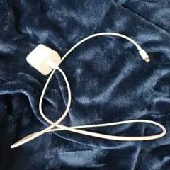 Apple Lightning 充電ケーブル ホワイト
