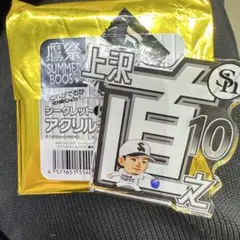 福岡ソフトバンクホークス 鷹祭 テレQコラボ アクリルネームバッジ 上沢直之のサムネイル