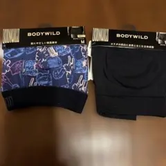 Item thumbnail for item f5352121-7ca9-4335-962c-cd4de338c93f