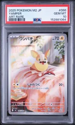 2026年最新】psa10 わんぱちの人気アイテム - メルカリ