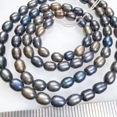 ブルーブラウン＊淡水真珠＊ライスb1