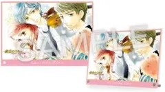 ときメモGS4 アニメイト特典 A4 アクリルパネル 風真玲太 本多行