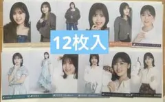 乃木坂46 柴田柚菜　生写真まとめ売り