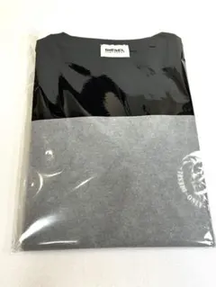 DIESEL ディーゼル ストレッチ ブレイブマンロゴ Ｔシャツ S