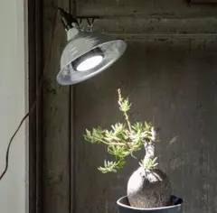 Item thumbnail for item 18519dd5-f5b7-4bc0-a4b2-171748972170