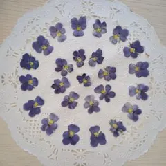 yuki様 リクエスト 4点 まとめ商品