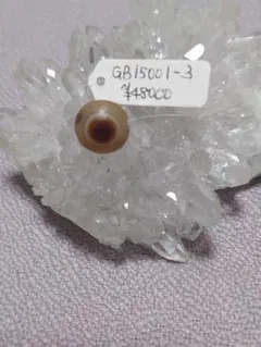 最古の天珠と言われる 羊眼板天珠