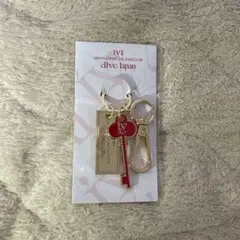 ive dive japan 入会特典　キーリング　オリジナルキーホルダー