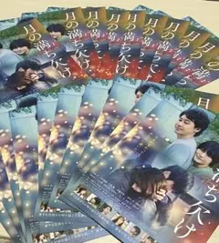 月の満ち欠け 映画パンフレット 29枚セット