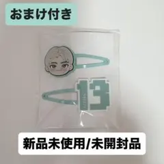 超特急 アロハ ヘアクリップ REAL？