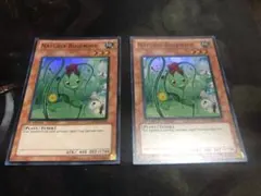 遊戯王 ナチュルローズウィップ DT04 - メルカリ
