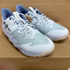 asics UNPRE ARS LOW 2 RT 30cm 新品 ライトブルー - メルカリ