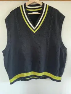 WEGO ラインリブチルデンニットベスト