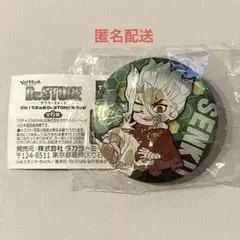 Dr.STONE ぴた！でふぉめ 缶バッジ 石神千空