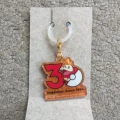 ポケモン 30周年 ロゴマスコット ホゲータ ポケチャーム