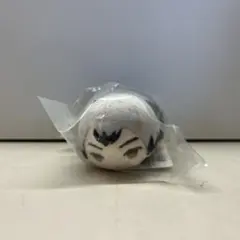 ハイキュー!!ぬいぐるみもちもちマスコットvol.2