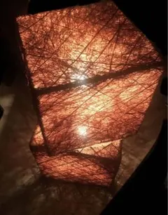 Item thumbnail for item 11a0431f-b4aa-4d03-bd21-1905d4cc6fe8