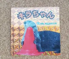 鳥羽水族館 ラッコ キラちゃん ホログラムシール オレンジ