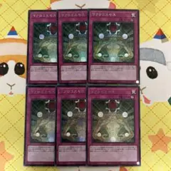 遊戯王 マクロコスモス シークレット 6枚