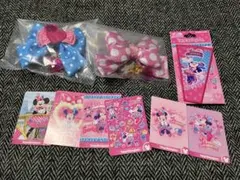 ミニーのファンダーランド パルパルーザ ミニパル ワッペン キーチェーン　ミニー