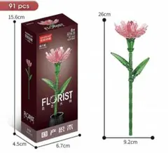 LELEBROTHER FLORIST PLANT SERIES カーネーションのサムネイル