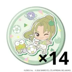 イナズマイレブン イナイレ サンリオコラボ 缶バッジ 緑川 17点 イナズマイレブン イナイレ サンリオコラボ 缶バッジ 緑川 17点 - メルカリ