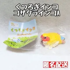 くつろぎインコ　コザクラインコA　ヤトウナオコ　ガチャ　カプセルトイ　鳥