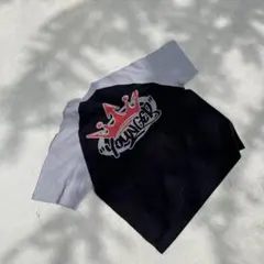 Item thumbnail for item 1a69b9d3-2ddb-424f-b0e6-5264180ba625