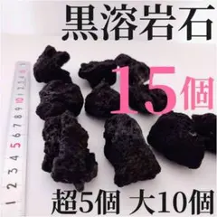 黒溶岩石 15個 【超5大10】☆アクアリウム、テラリウム、苔リウムに最適のサムネイル