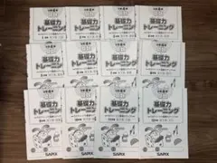 サピックス　基礎力トレーニング 4年生 12冊セット　原本未記入　小4 SAPIX 基礎力トレーニング 4年生【1年分 12冊】 基礎力