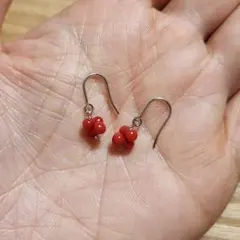 天然石 珊瑚 ピアス　コーラル