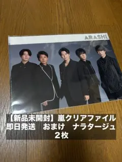 嵐 We are ARASHI 2026 クリアファイル　集合　ナラタージュ２枚