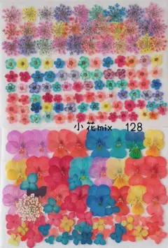 小花mix押し花　128