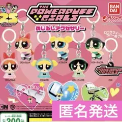 パワーパフガールズ めじるしアクセサリー　ブロッサムＢ　2点セット　匿名発送
