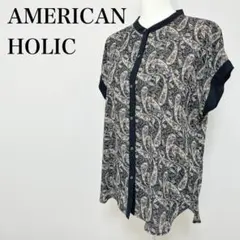 〇 AMERICAN HOLIC カットソー シャツ ペイズリー柄 総柄 L