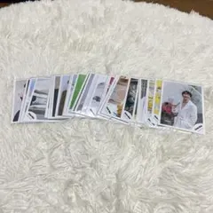 SnowMan 渡辺翔太 公式写真 31枚 セット まとめ売り