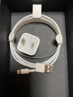 Apple 純正Lightning ケーブル アダプタ 充電器