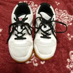 卓球シューズ メンズ ホワイト