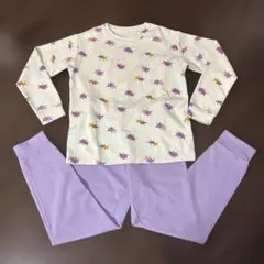 Item thumbnail for item 2d958d7a-3e2f-4c85-8522-cef069c250e2