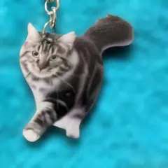 新品未使用 キジトラ猫のアクリルキーホルダーです